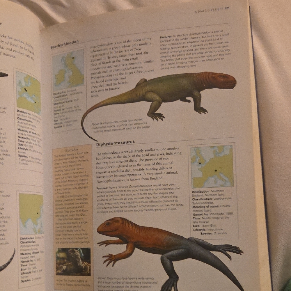 The World Encyclopedia of Dinosaurs & Prehistoric Creatures Book - Picture 16 of 16